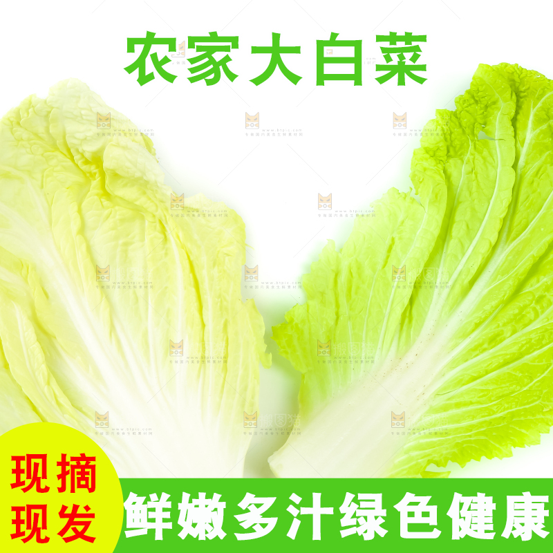 白底上放着白菜