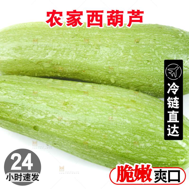 白底上摆放着茭瓜