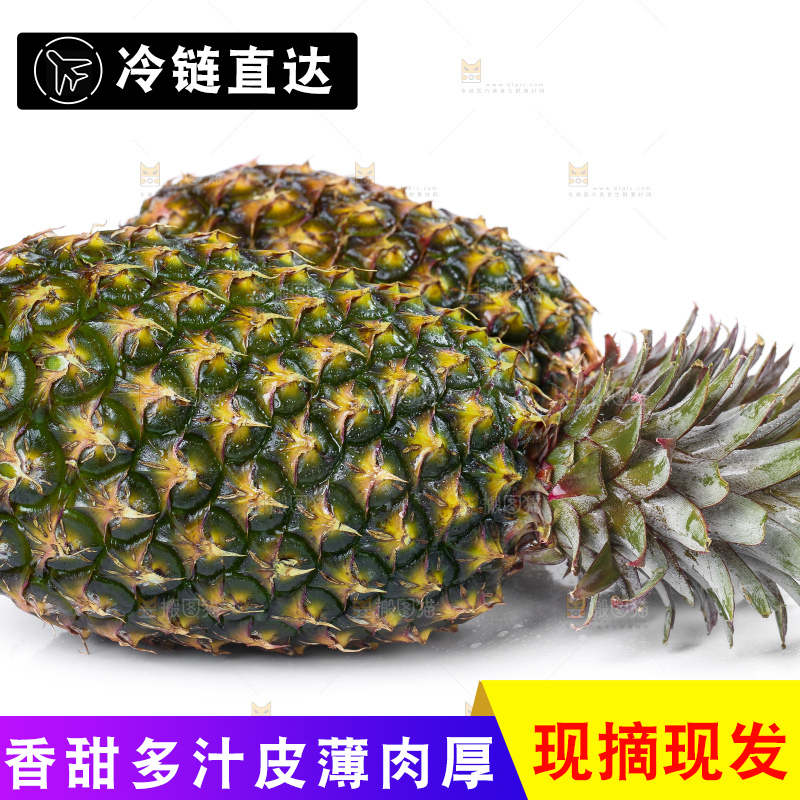 白底上的新鲜凤梨