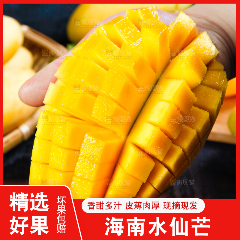 黑底上的水仙芒