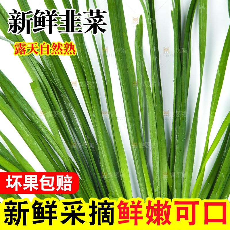 白底上的一把韭菜
