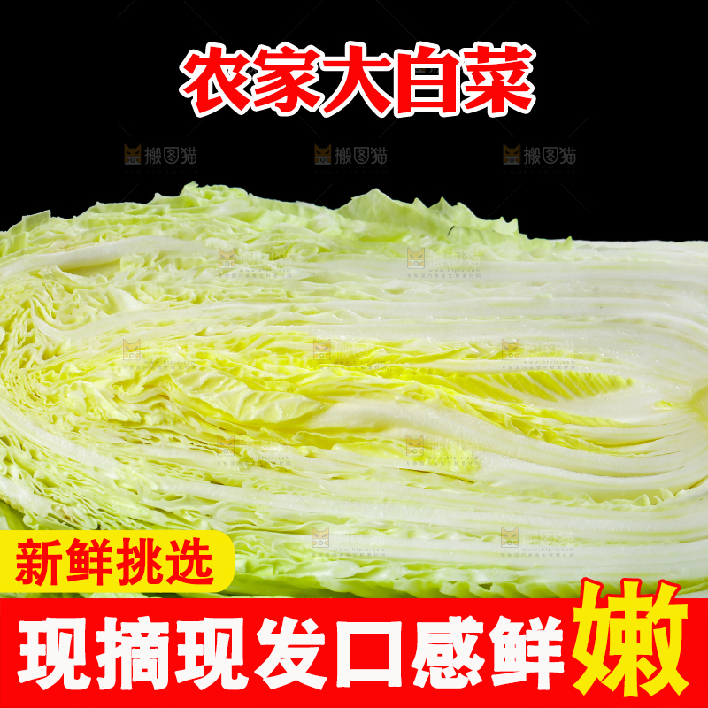 黑底上放着大白菜
