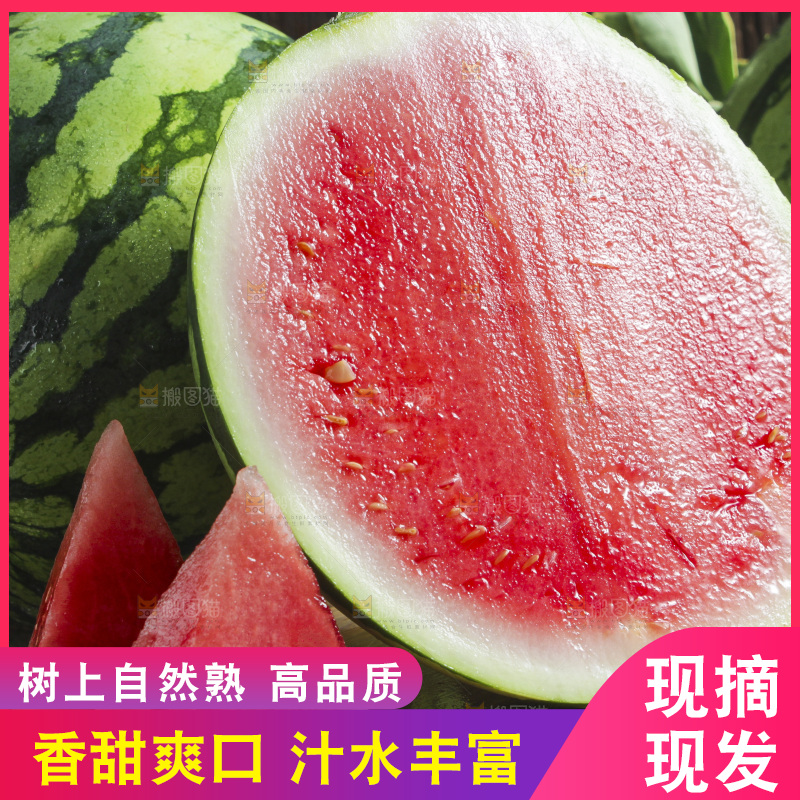 木底上放着切开的新鲜西瓜