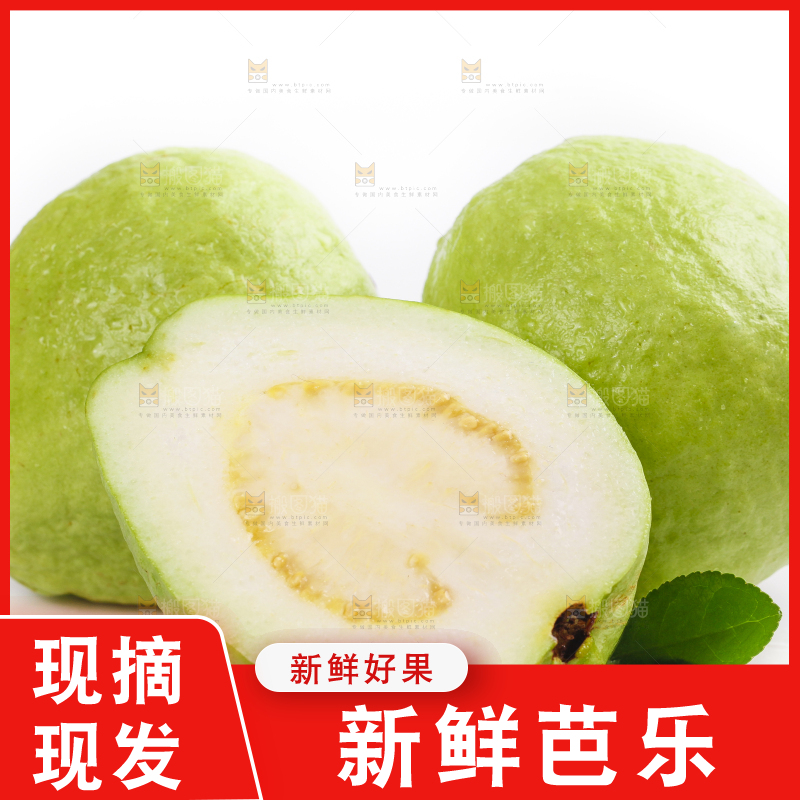 白底上放着白心番石榴