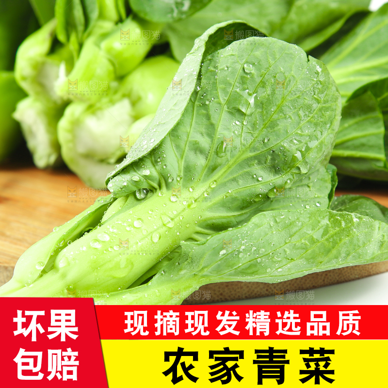 木板上的一堆菜小青菜