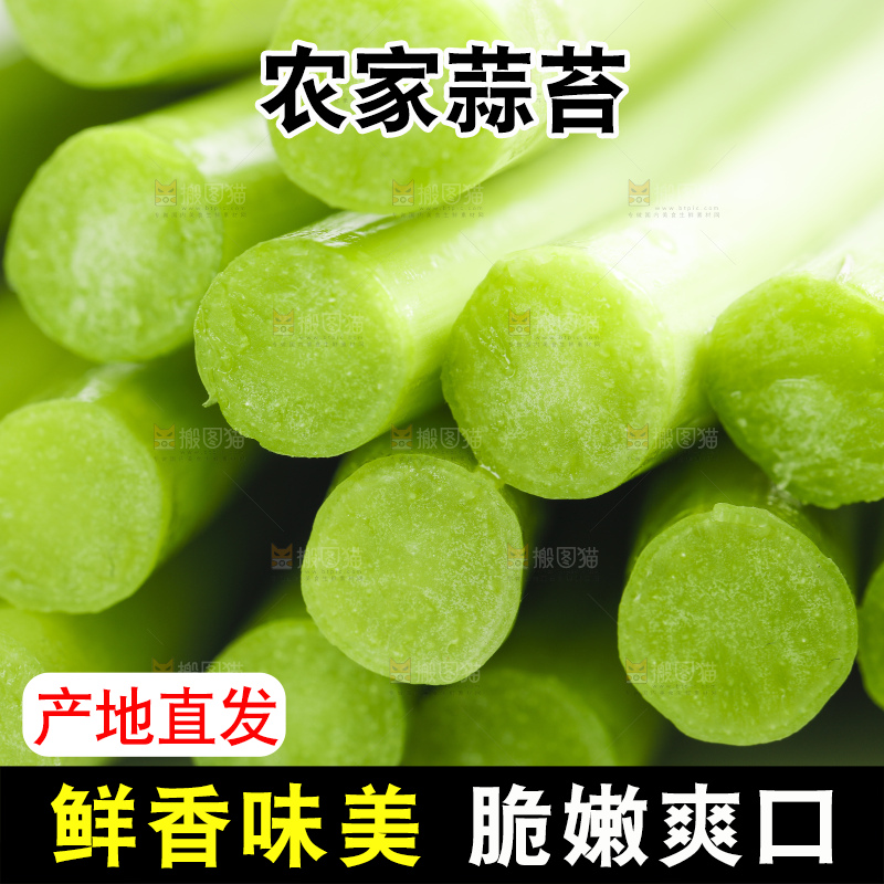 白底上摆放着蒜苔