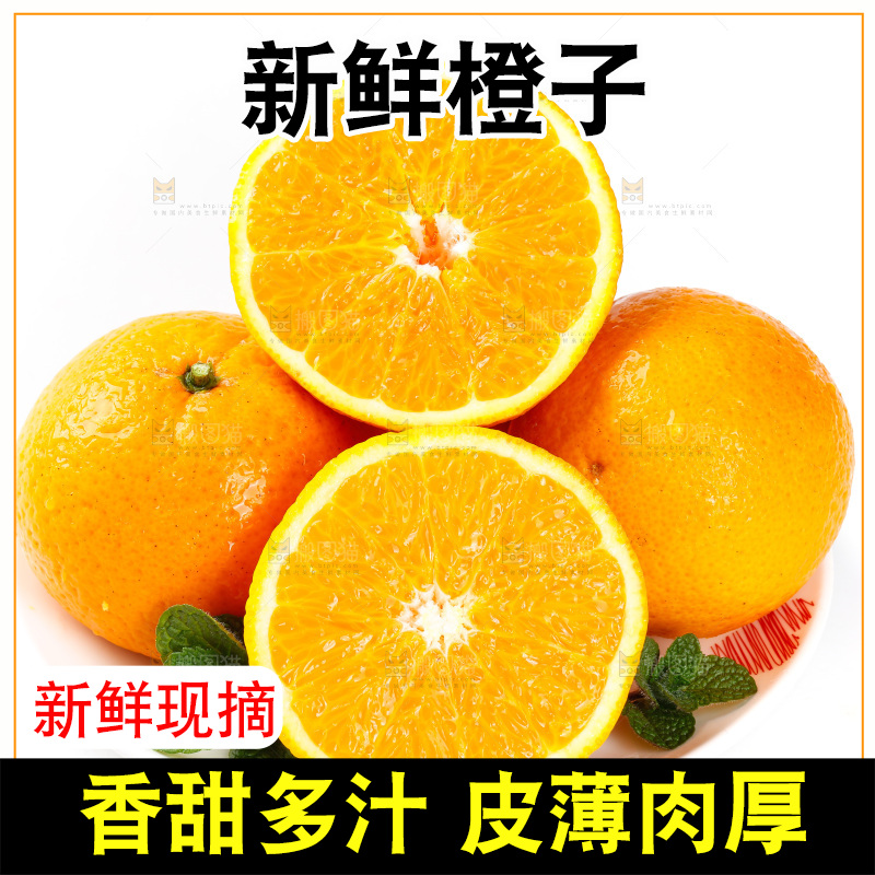 白底上放着新鲜橙子