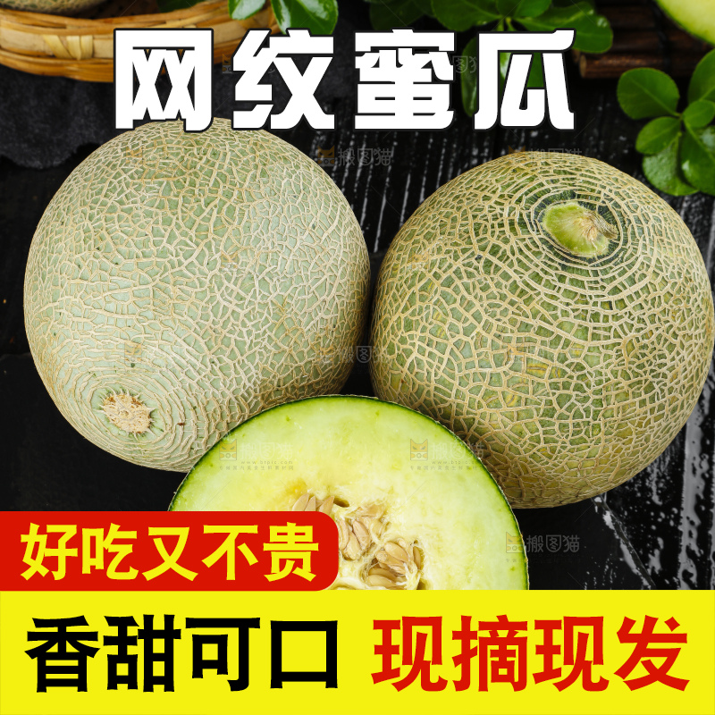 深底上放着切开的新鲜的网纹蜜瓜