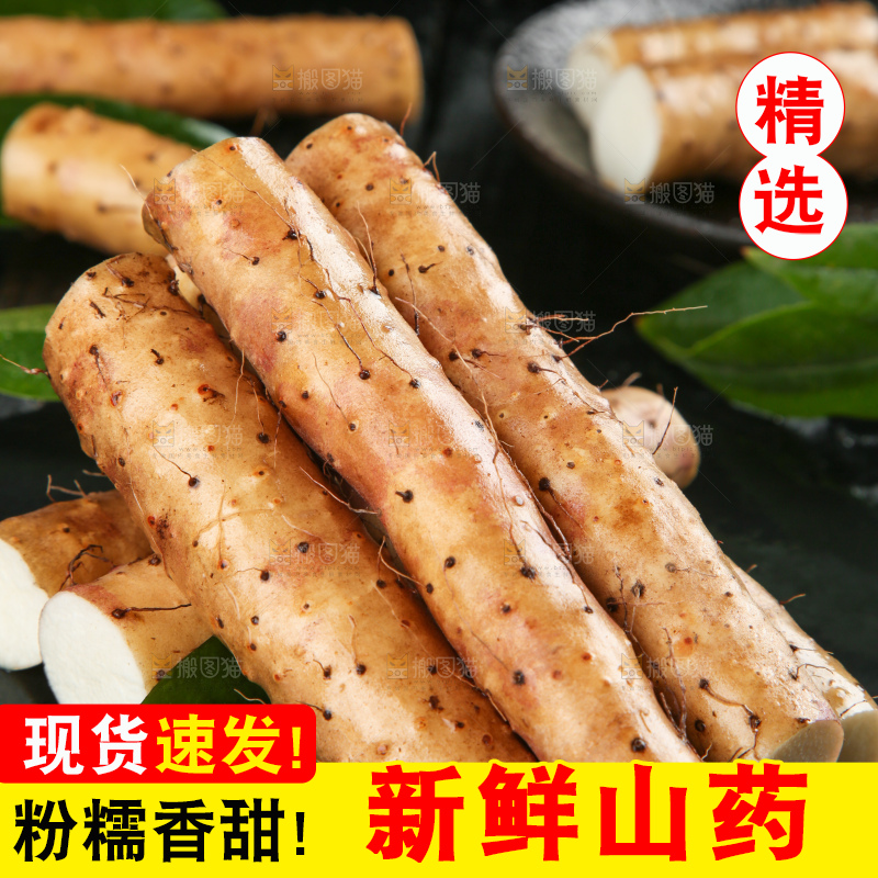 深底上的小白嘴山药