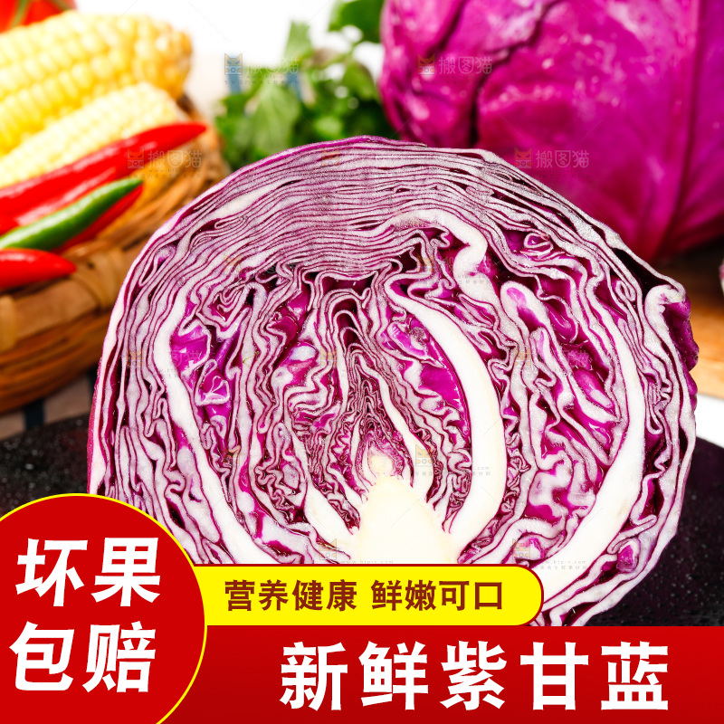 黑底上放着地甘蓝