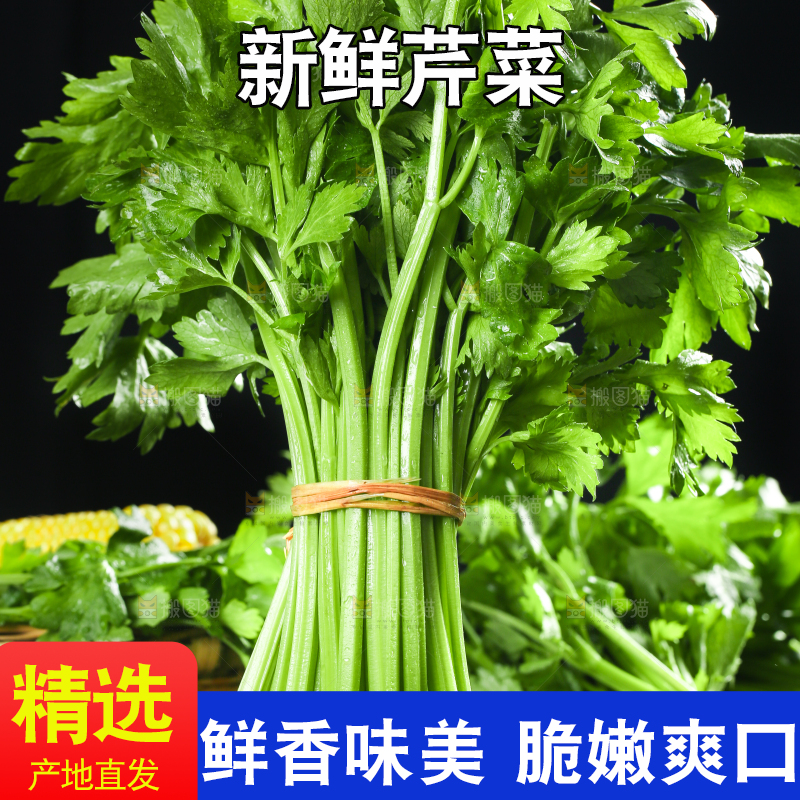黑底上放着小芹菜