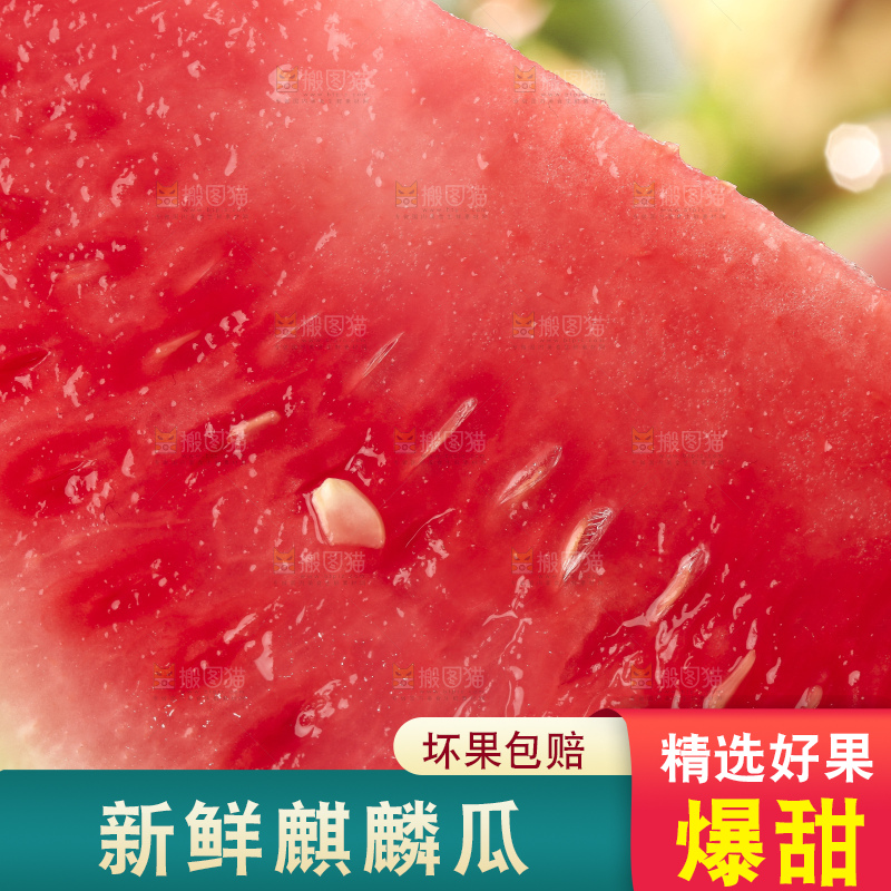 手拿切开的红心西瓜