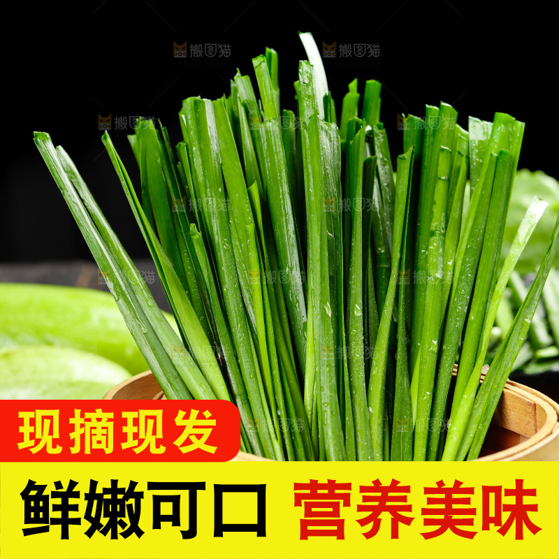 黑石板上的韭菜