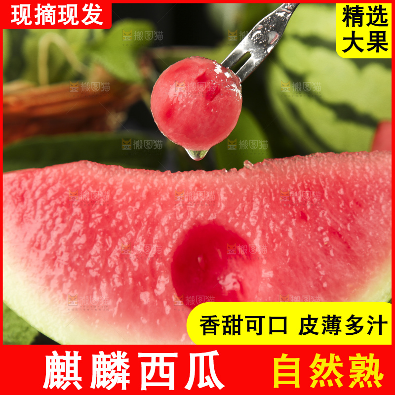 叉子叉着红肉西瓜果肉
