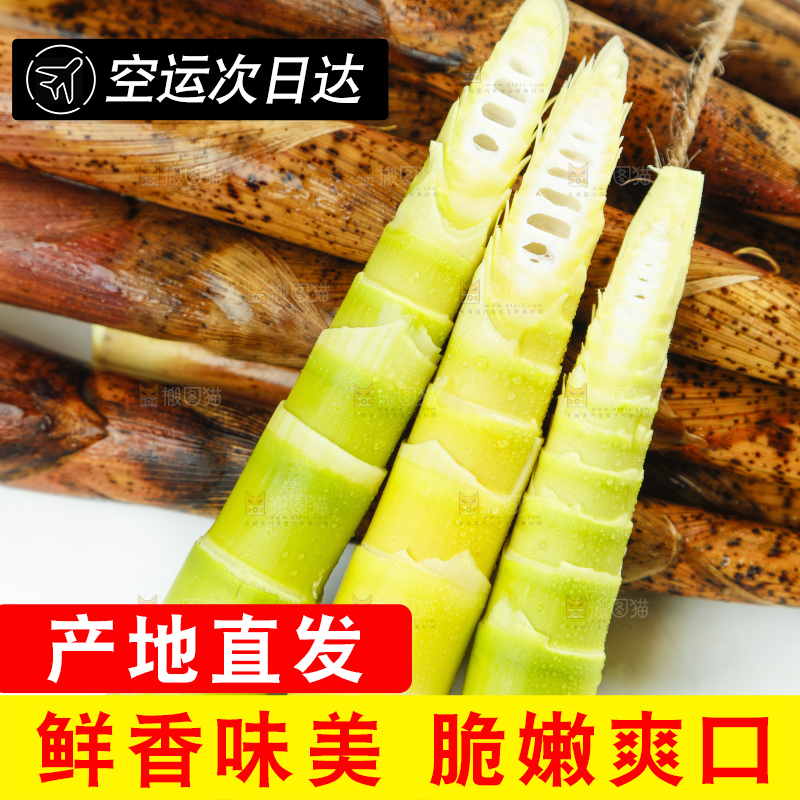 白底上放着剥皮的竹笋