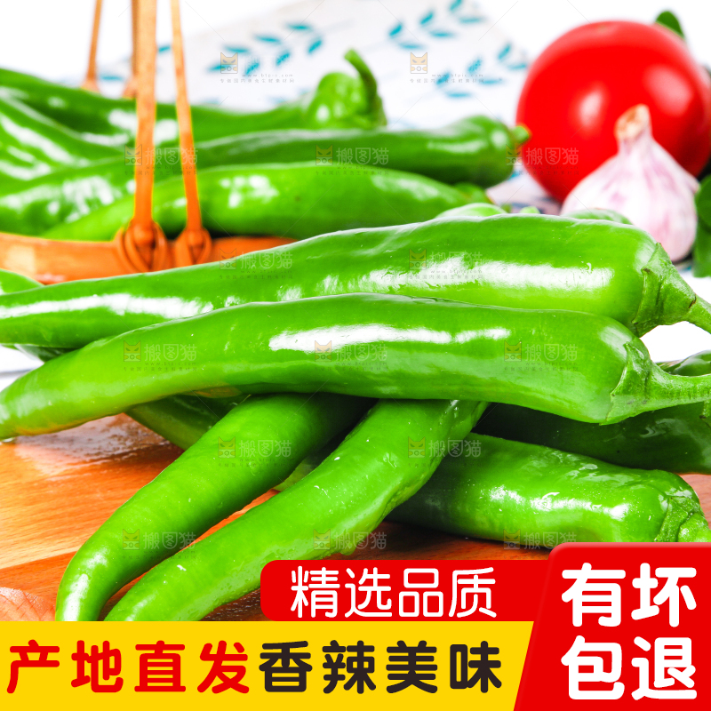 浅底上放着山东新鲜青椒