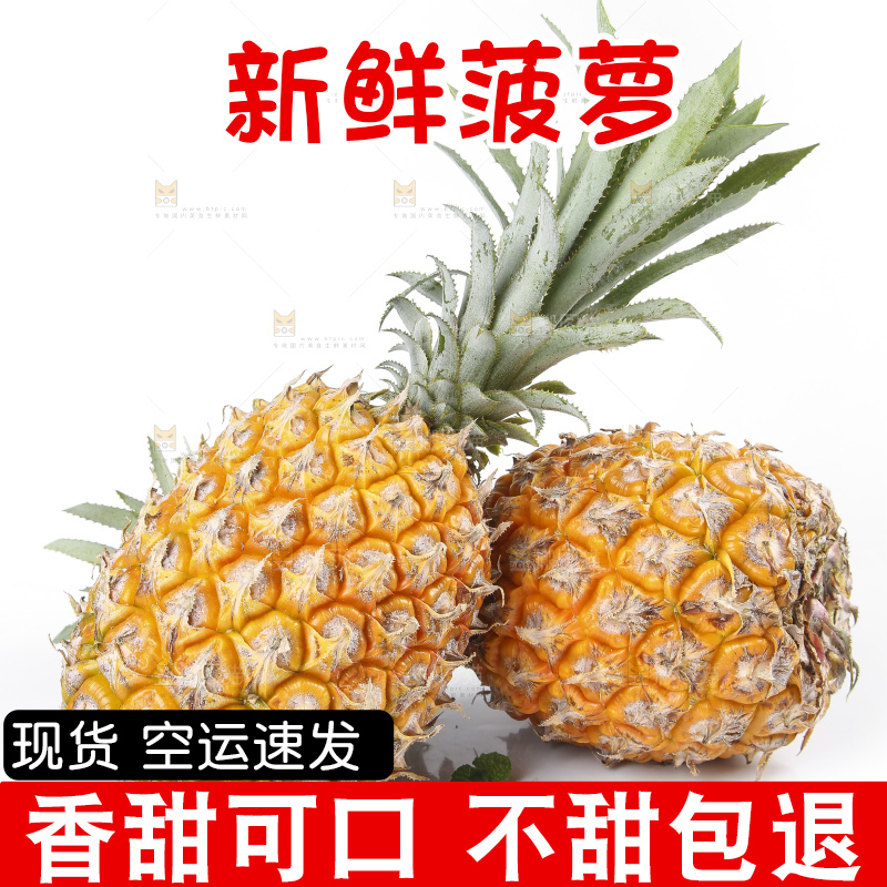 白底上的新鲜菠萝