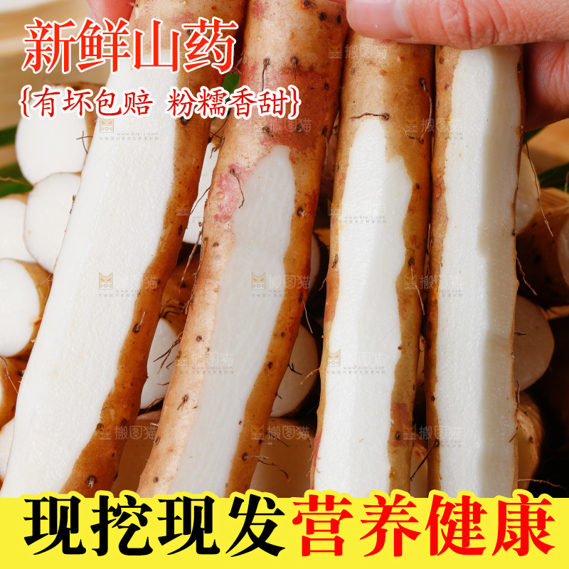 手里拿着新鲜山药