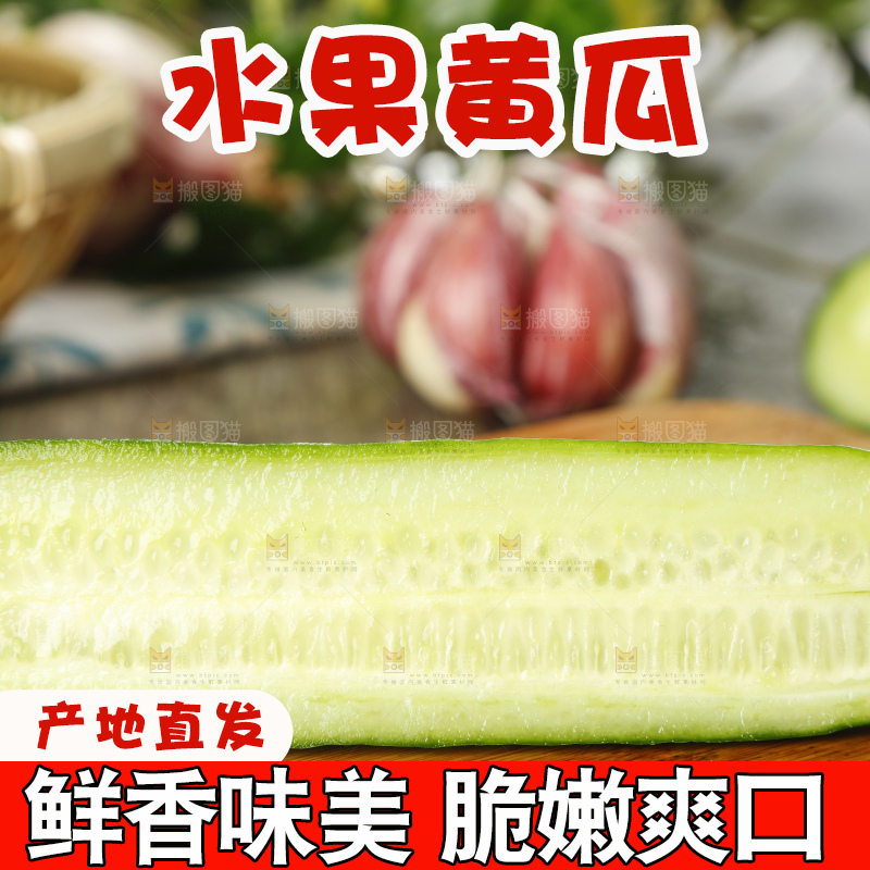 新鲜的山东水果黄瓜放在木板上