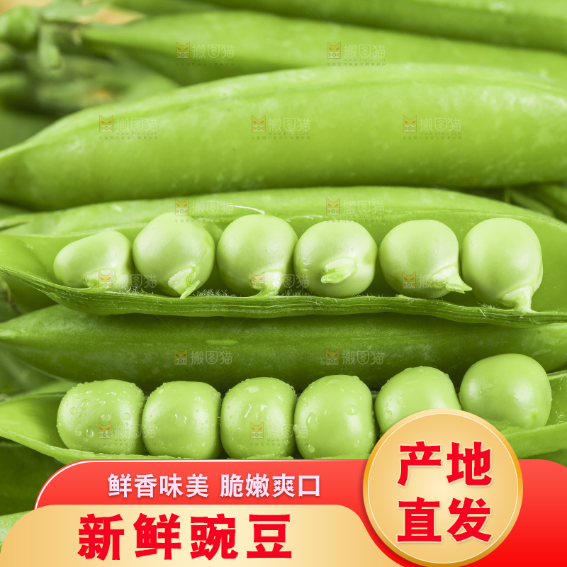 一堆新鲜的豌豆