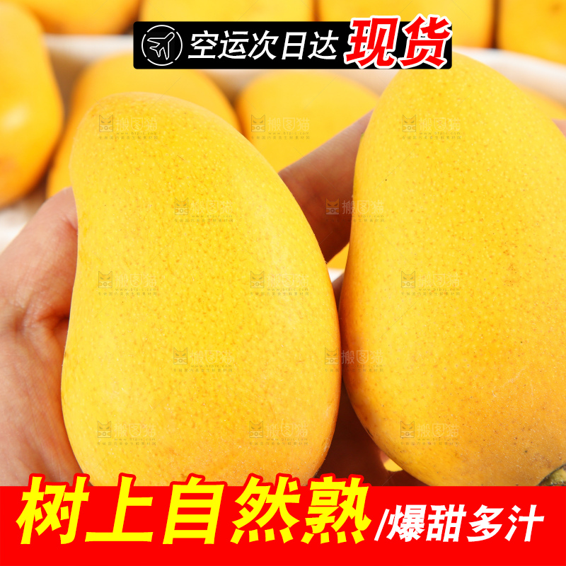 手拿新鲜小台芒