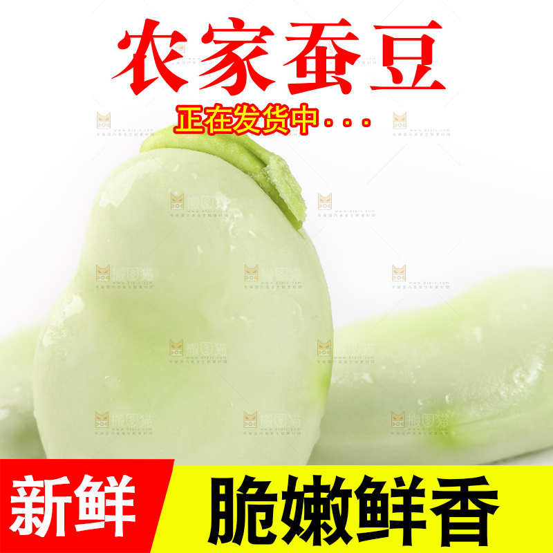 白底上放着剥壳的云南新鲜蚕豆