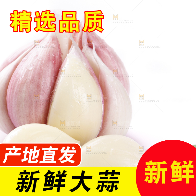 白底上放着新鲜紫皮大蒜头