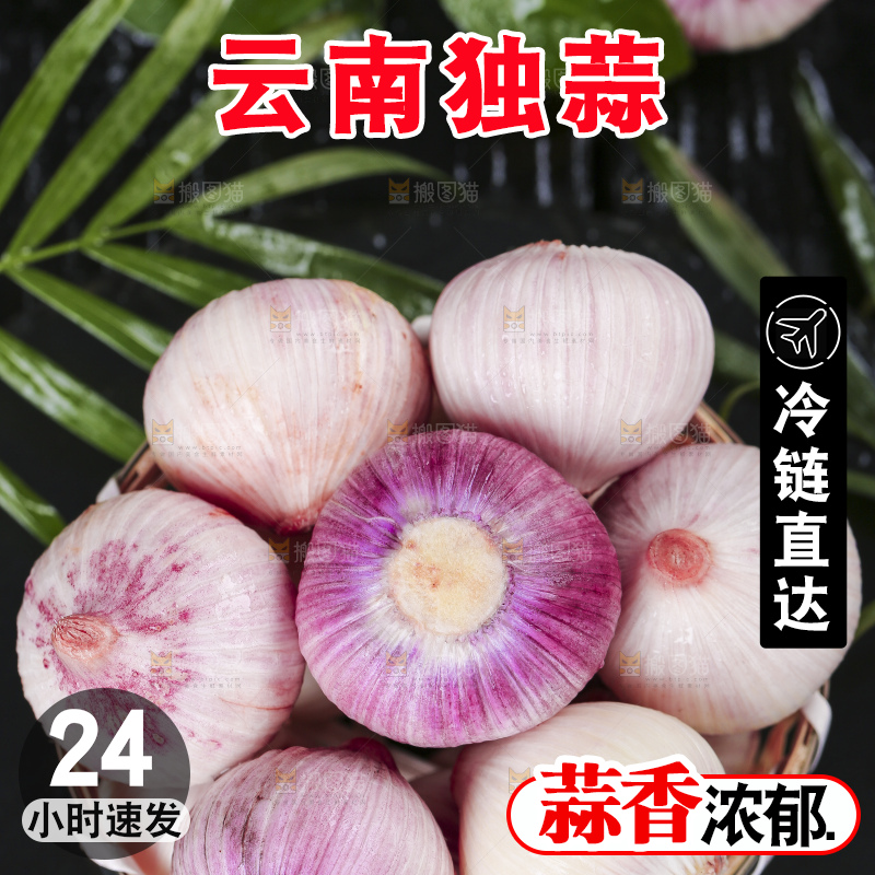 黑底上放着云南紫皮独头蒜