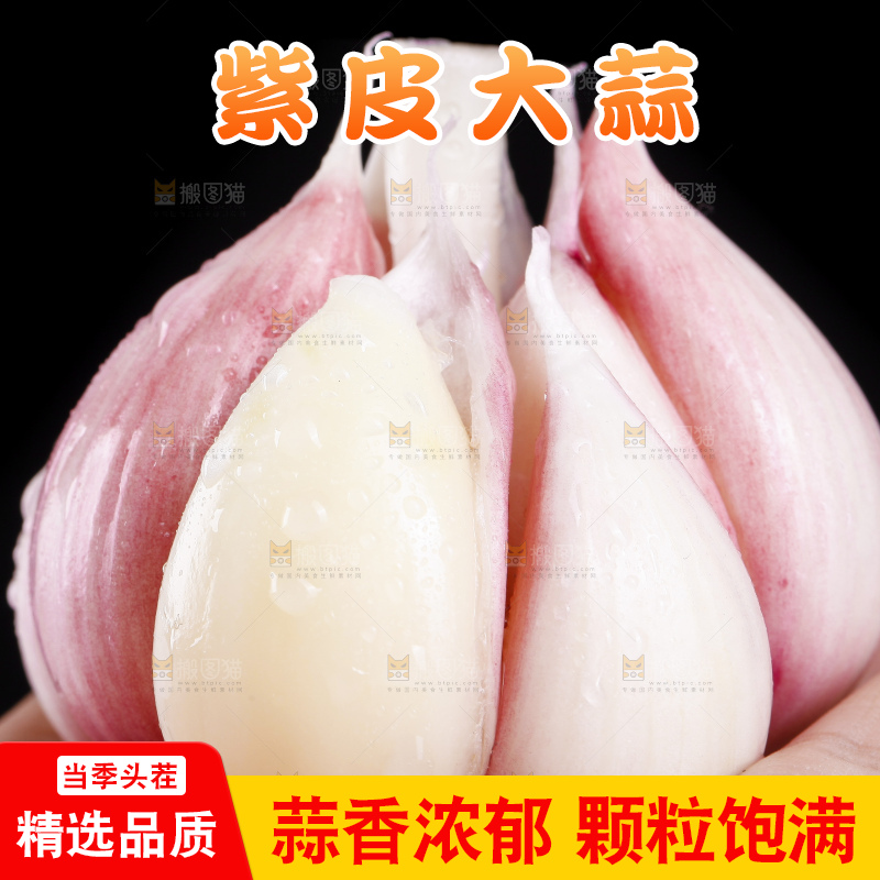 手拿新鲜紫皮大蒜