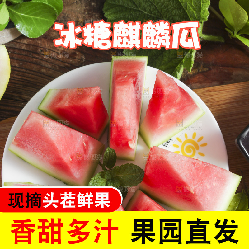 新鲜冰糖西瓜放在木底上