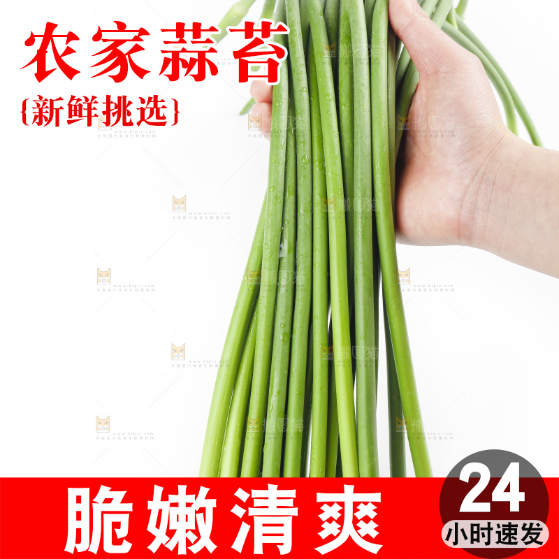 手里拿着鲜蒜苔