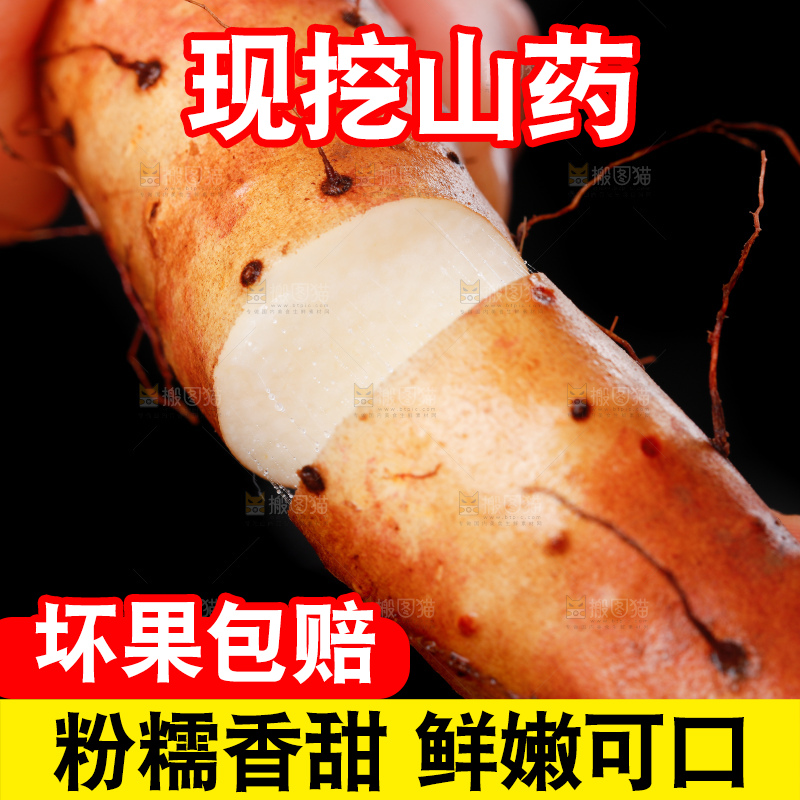 手里拿着小白嘴山药