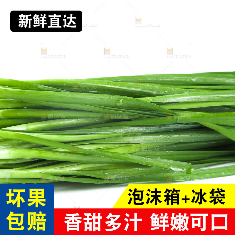 白底上的一把韭菜