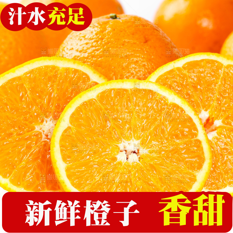 白底上放着新鲜橙子
