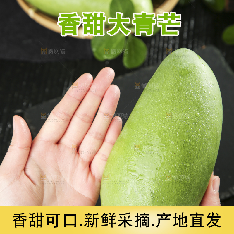 手拿着青皮芒果