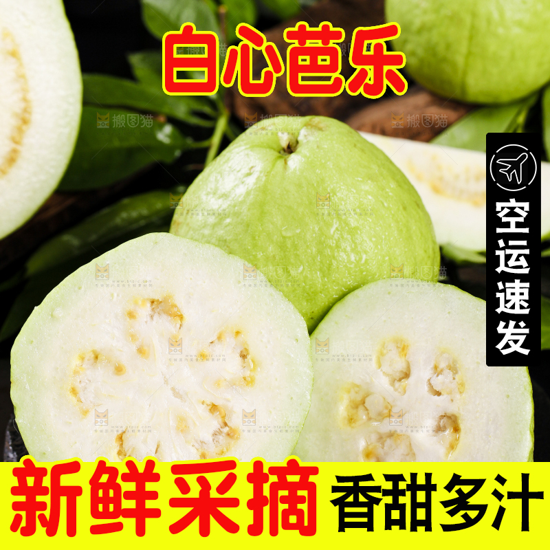 黑石底上放着白心芭乐
