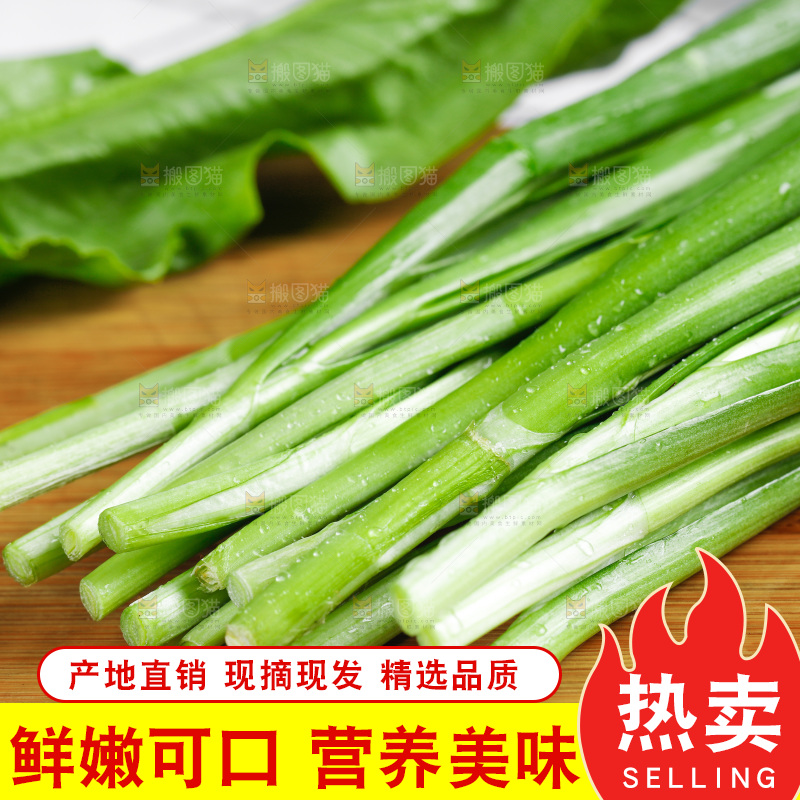 木底上放着新鲜韭菜