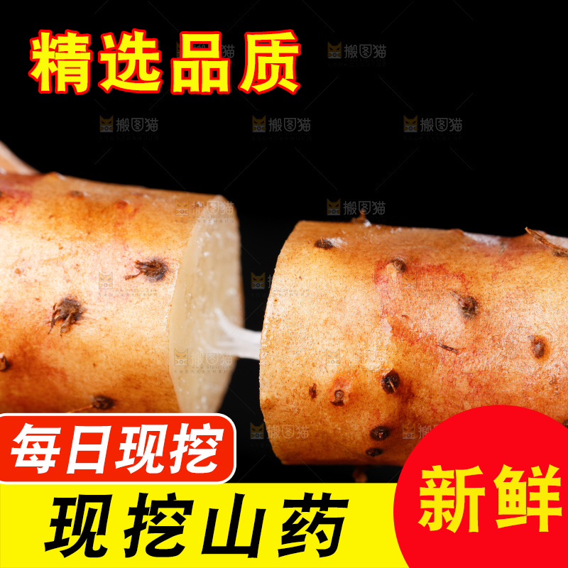 手里拿着小白嘴山药