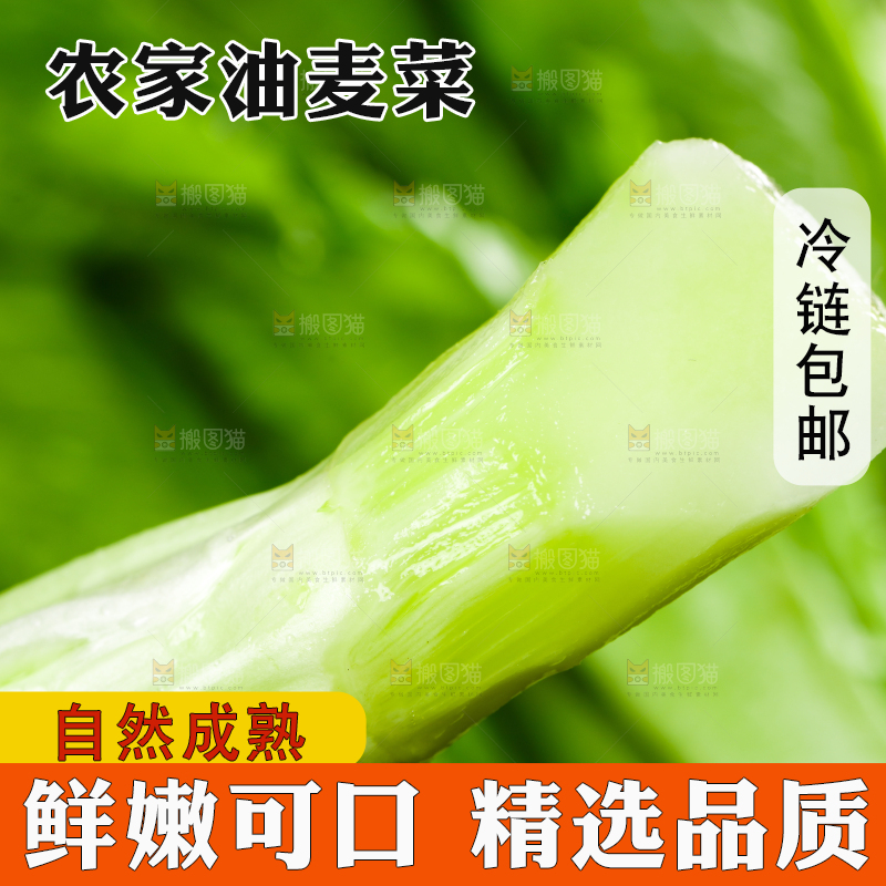 黑底上的油麦菜