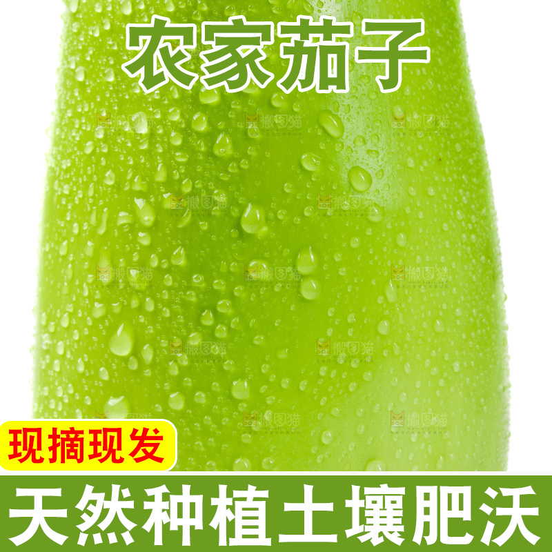 白底上放着青茄子