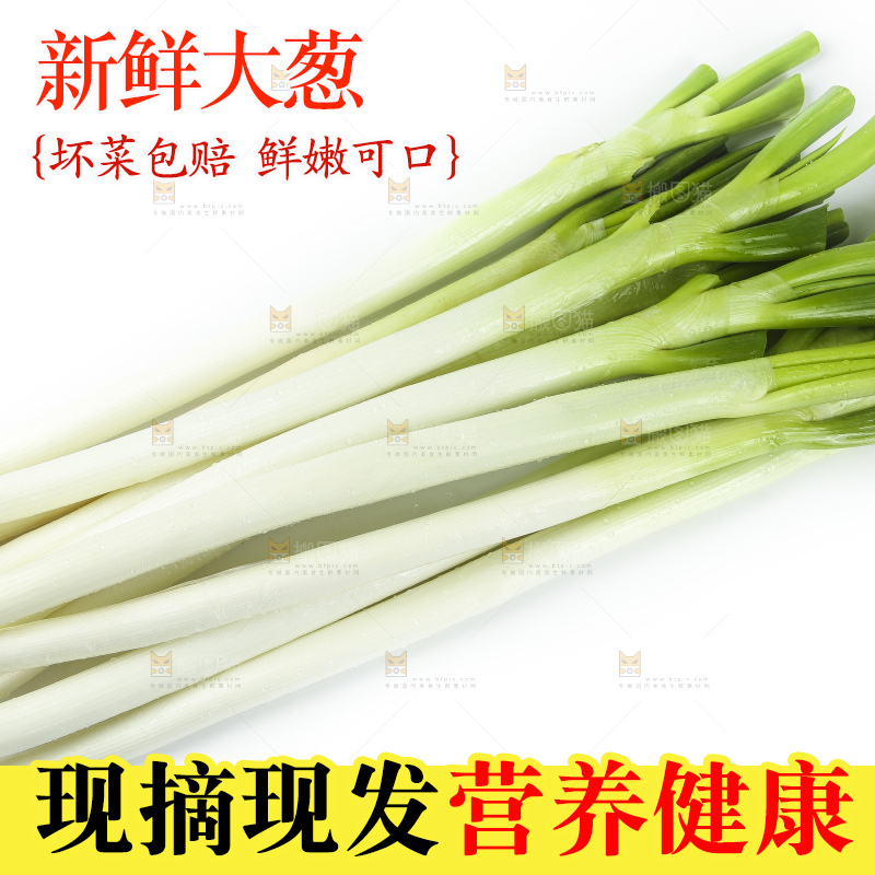 白底上放着一把大葱