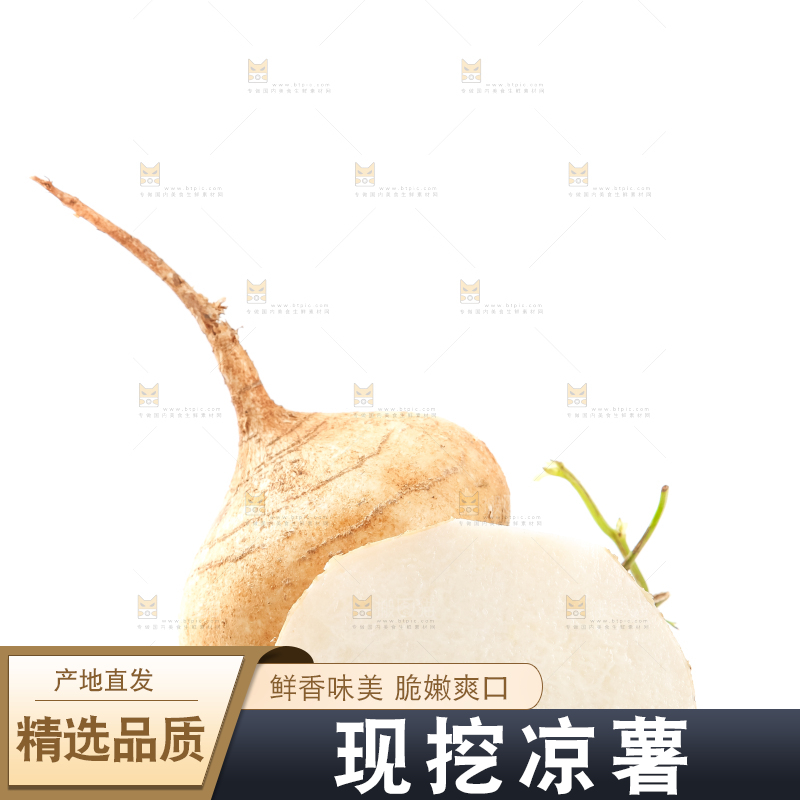 白底上的凉薯