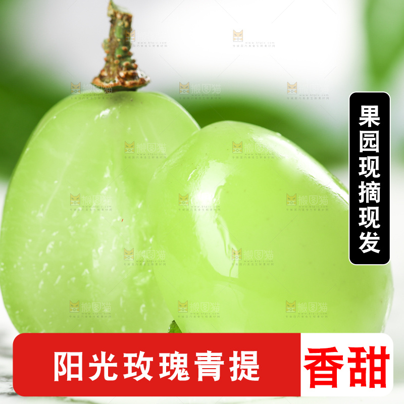 石板上放着无籽青提