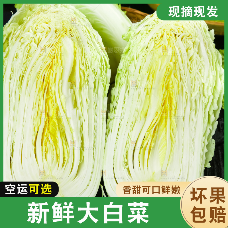 黑底上放着大白菜