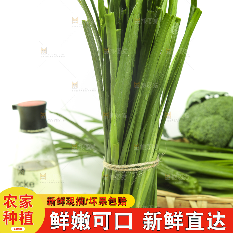 格子底上的鲜嫩韭菜