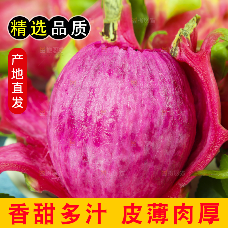 浅底上放着云南红心火龙果