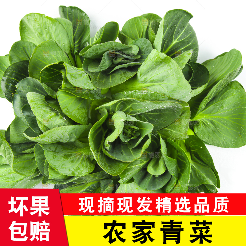 白底上放着青菜