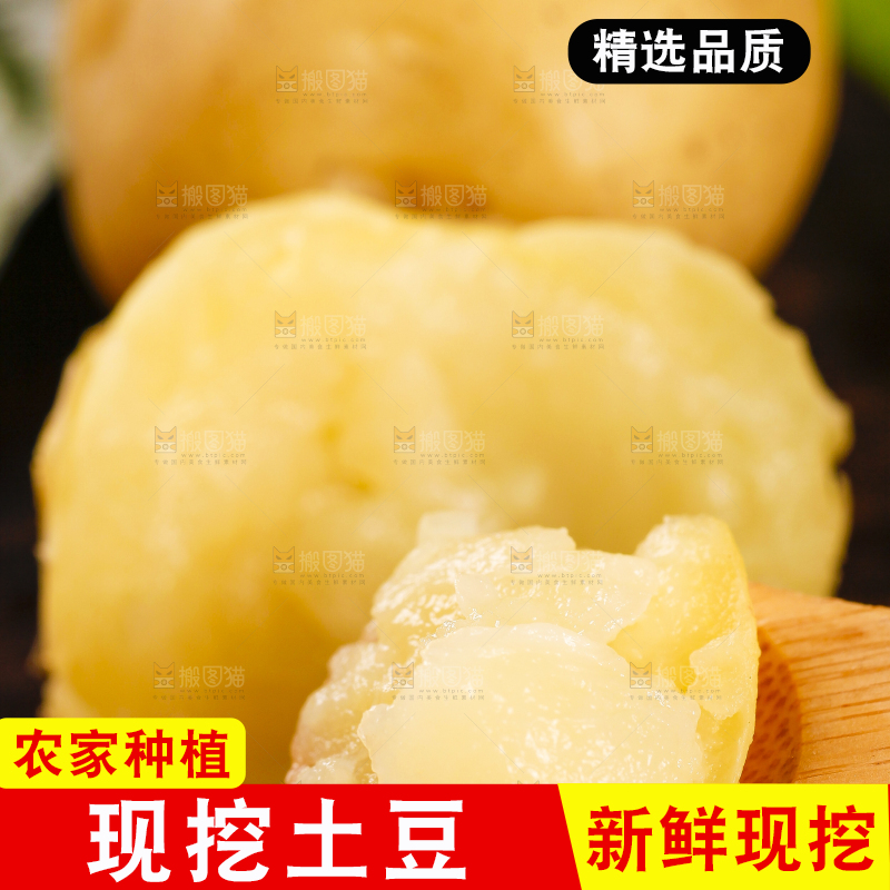 勺子里装着小土豆泥