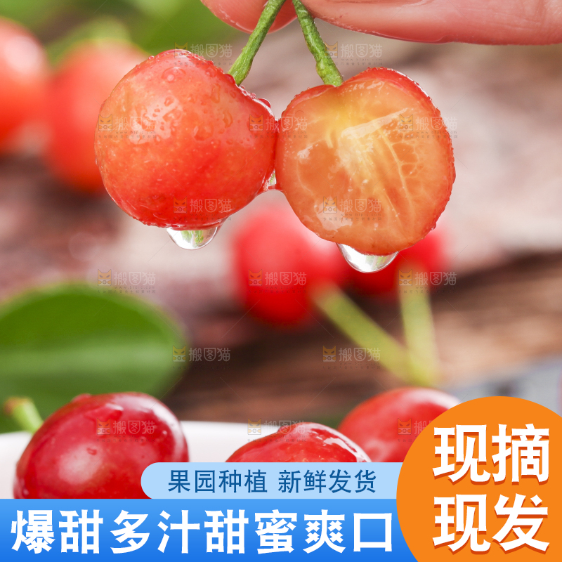 手里拿着黄樱桃