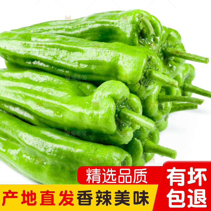 白底上放着青椒